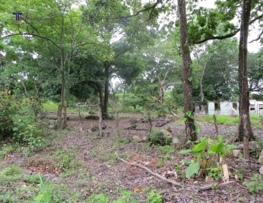 Imagen de muestra: Finca de recreo en San Carlos