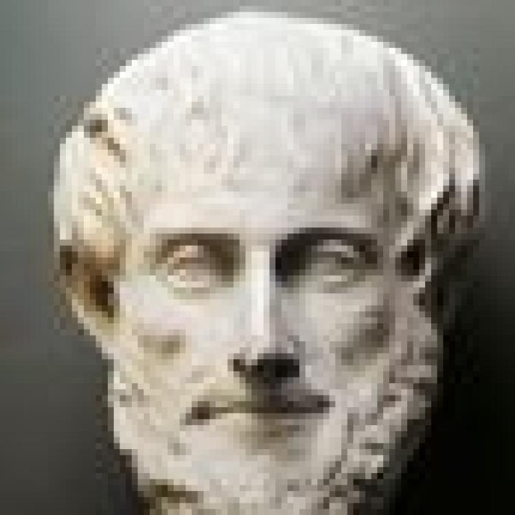 Profile picture for user 88803064